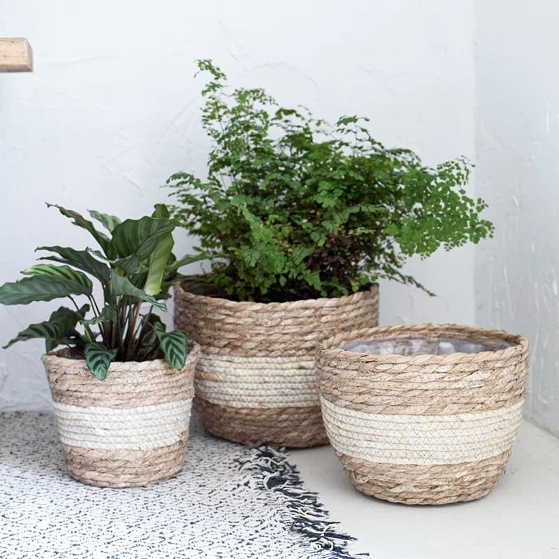 Cesto per fioriera in alghe marine, vasi da fiori, coperchio, cesto portaoggetti, contenitori per piante, fioriera intrecciata a mano per decorazioni per la casa moderne