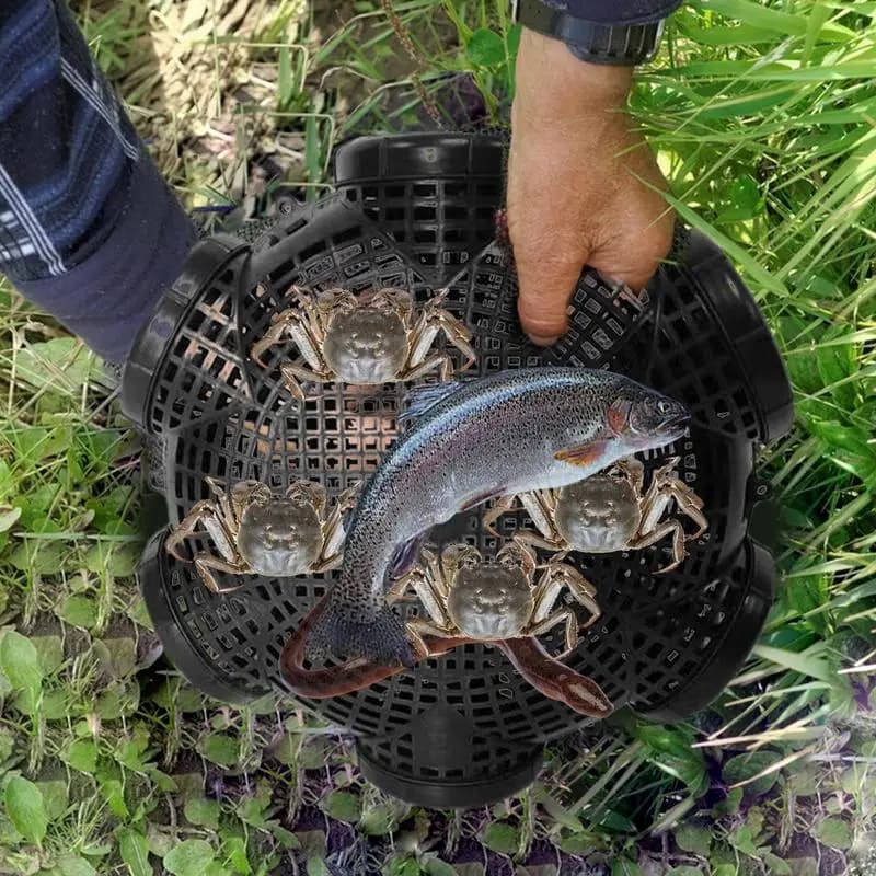 Trappola da pesca per gamberi a 8/6/3 fori Cattura Loach Aragosta Gabbia per anguille gialla Rete da pesca per granchi portatile Gabbia per gamberetti multi-foro