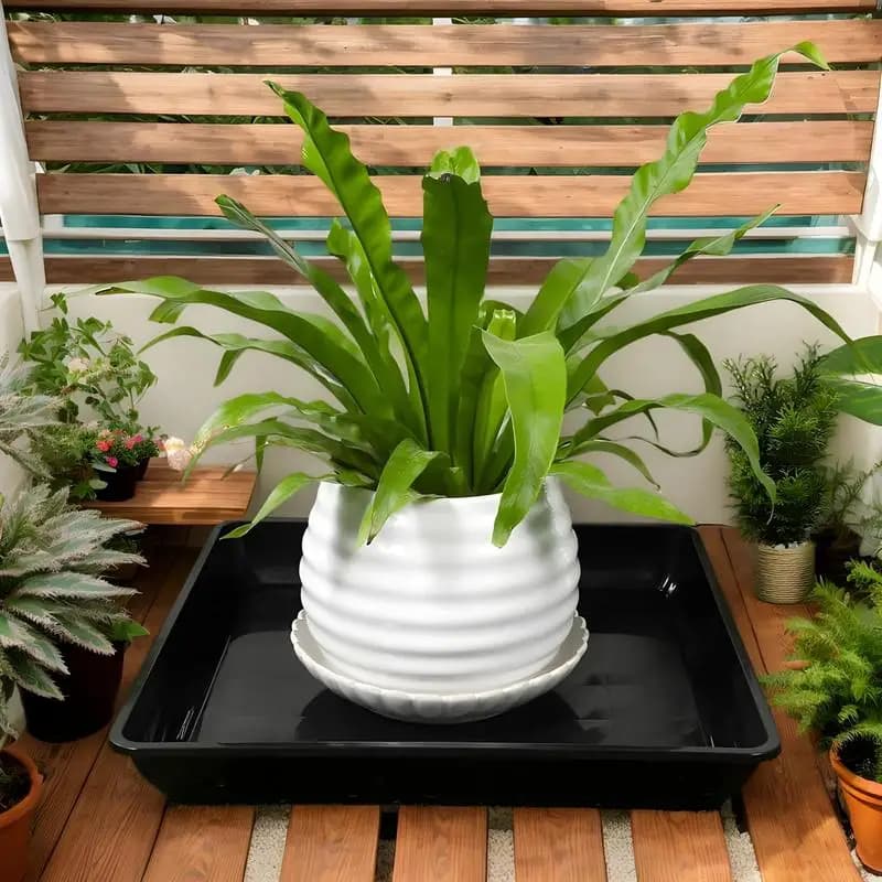 2 pieces plastic rectangle flower pot trays flower pot dripping dish for gardening nursery greenhouse davanzale seed germination
