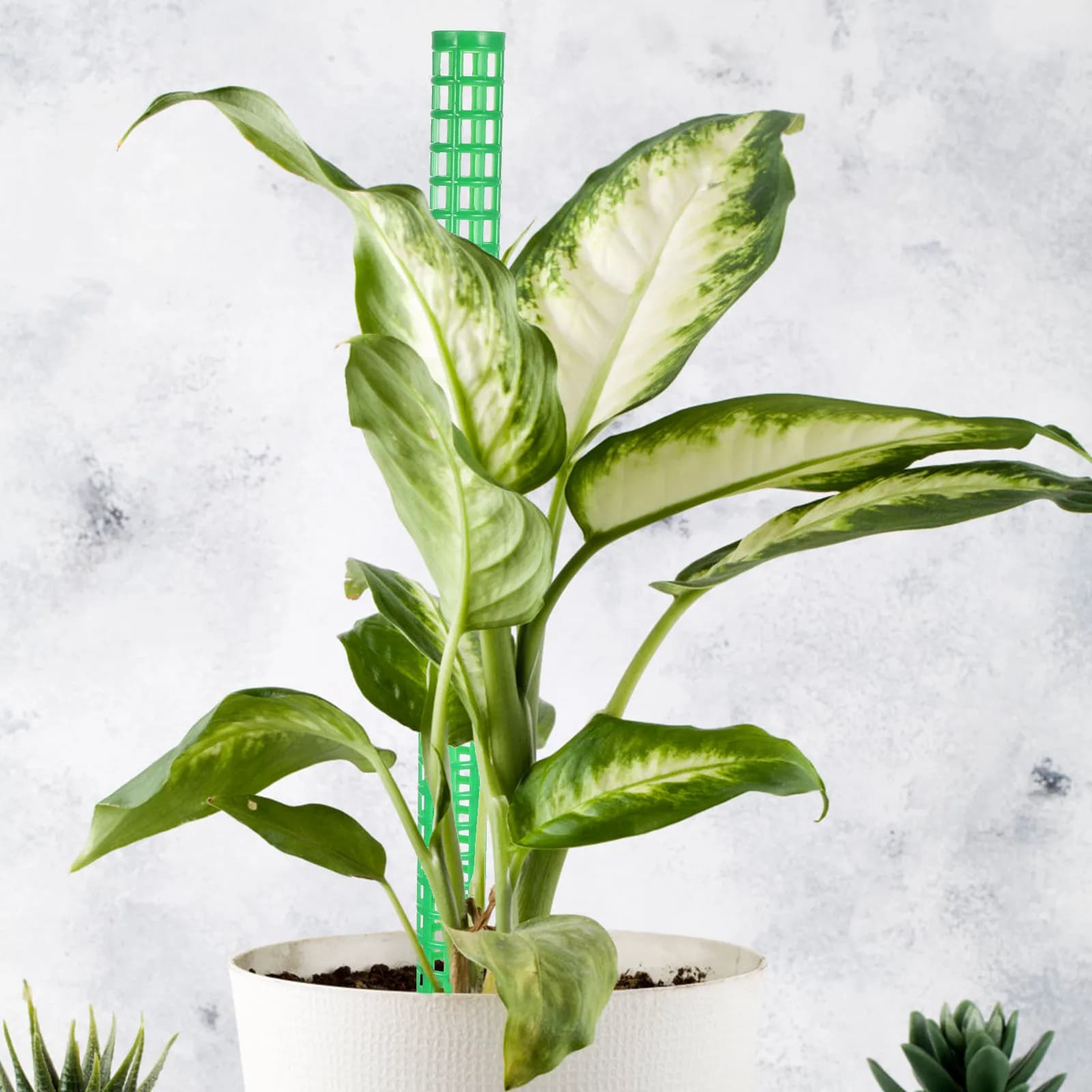 1Set Moss Pole Plastic Support Column Moss Stakes for Climbing Plants Vines Tomato Monstera Flower Pot Trellis Indoor Plant