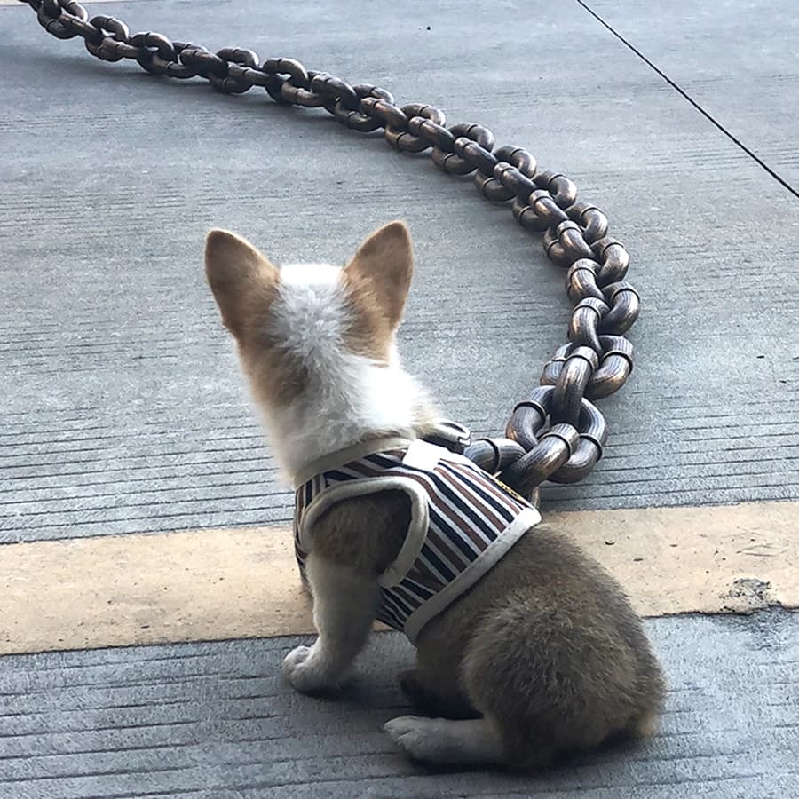 Cane con catena in ferro simulato con catena per cani Corda da trazione Corda per cani Divertente catena spessa in plastica per esterni