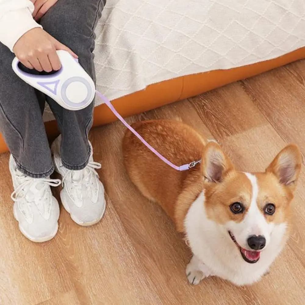 Guinzaglio Retrattile per Cani in Nylon con Impugnatura Antiscivolo, Corda di Trazione Comoda da 3 Metri, Anti-Fuga, per Passeggiate con Animali Domestici