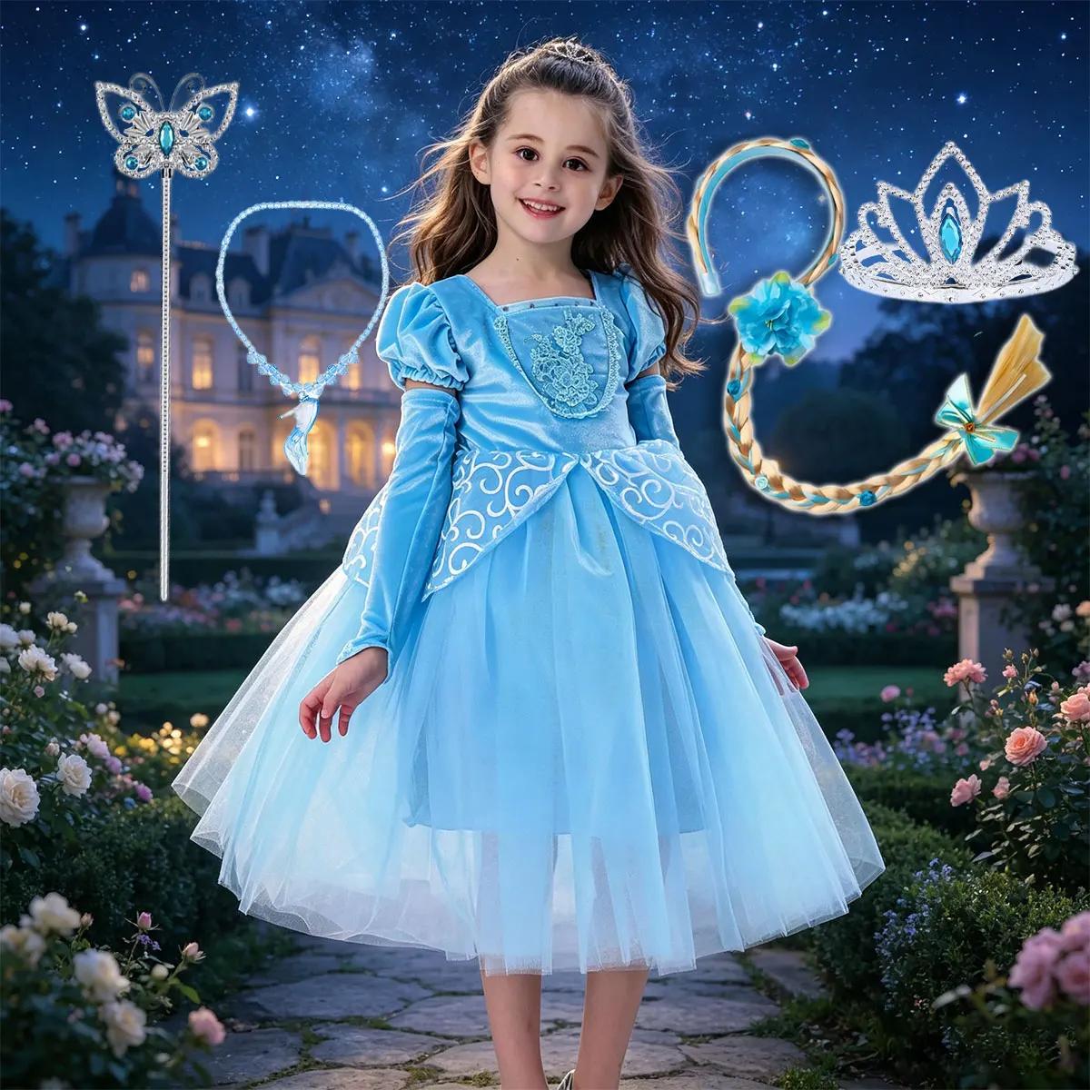 Summer Girl the Glass Slipper Elegant Princess Dress Velvet Floral Lace Embroidery Ball Gown Cindy Theme Party Role Play Costume