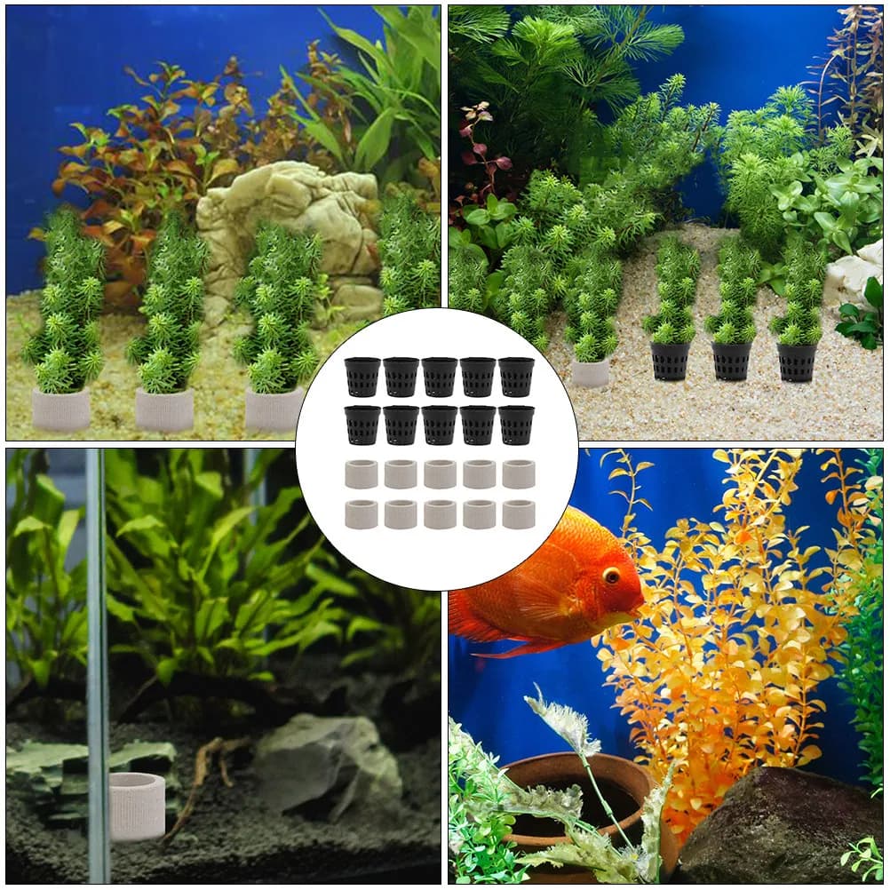 Set di Anelli di Fissaggio per Piante Acquatiche, Robusto Supporto per Piante d'Acquario, Accessorio per Anello di Respirazione dell'Acquario