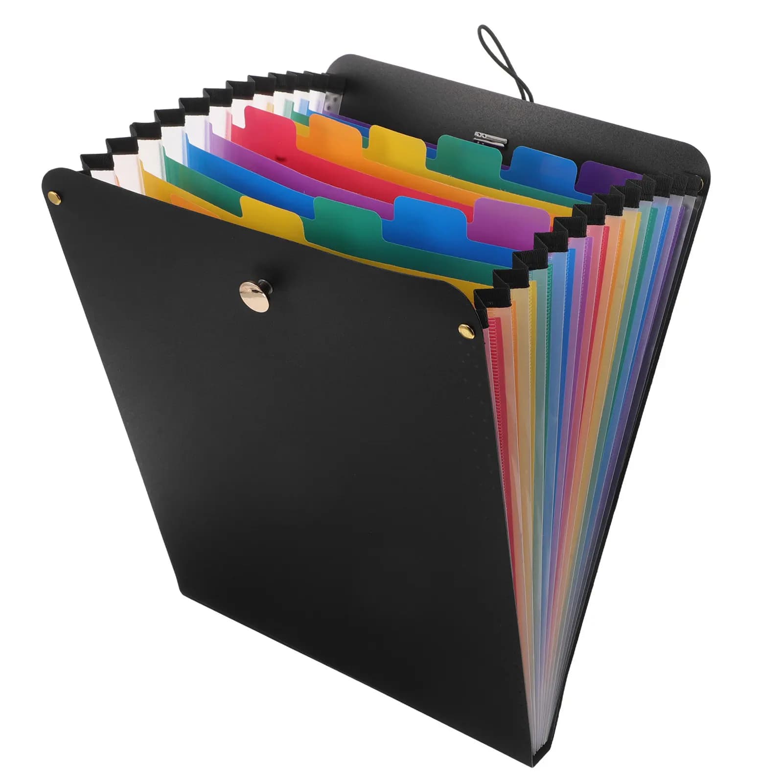 Organizzatore di documenti a fisarmonica, cartella portadocumenti multistrato A4 con 13 tasche, cartella verticale in plastica per testi e documenti