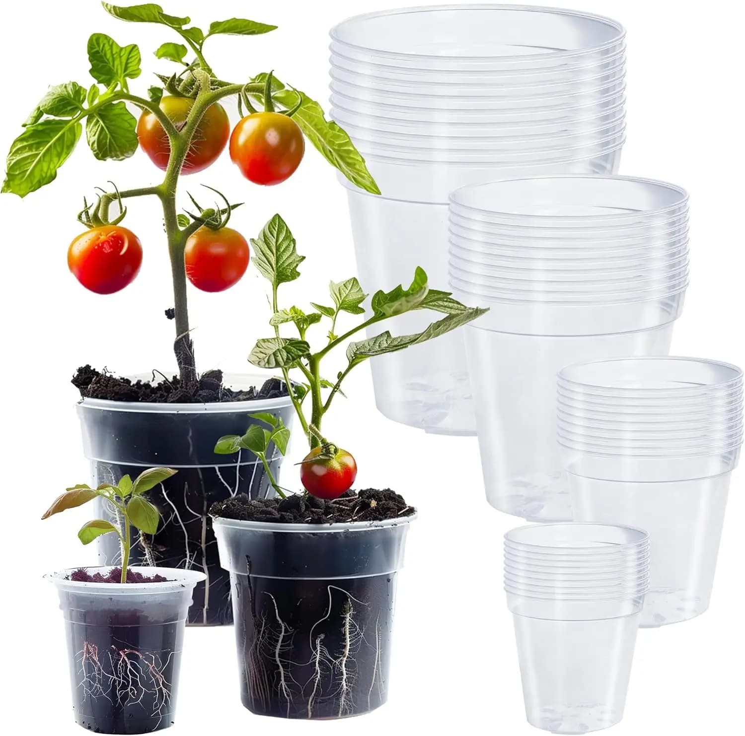 Set of 36 Transparent Plants with Draining Holes, 4/5/6/7 Transparent Containers for Semina and Flowers
