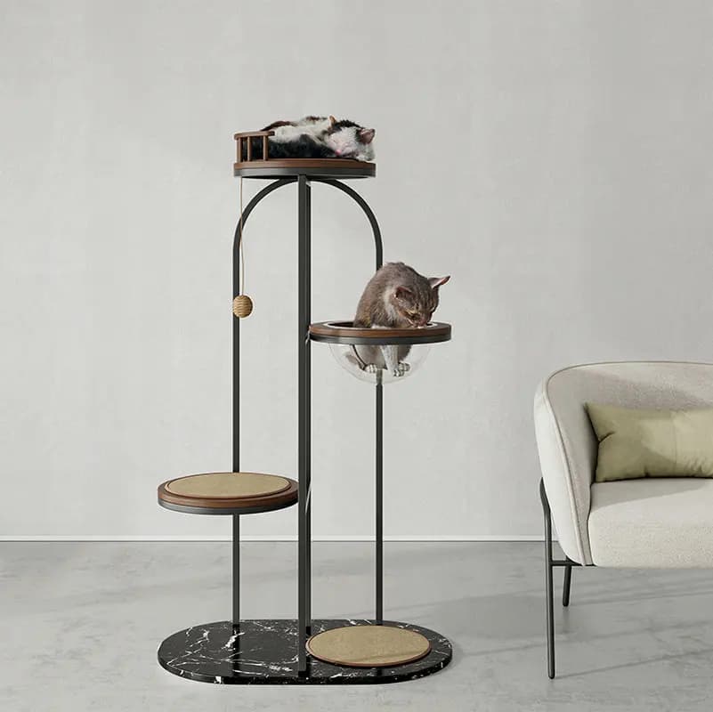 Struttura da arrampicata per gatti Cattery Piattaforma per saltare in legno massello Capsula spaziale di fascia alta Il rack Il gatto ha graffiato la tavola BB205XZ