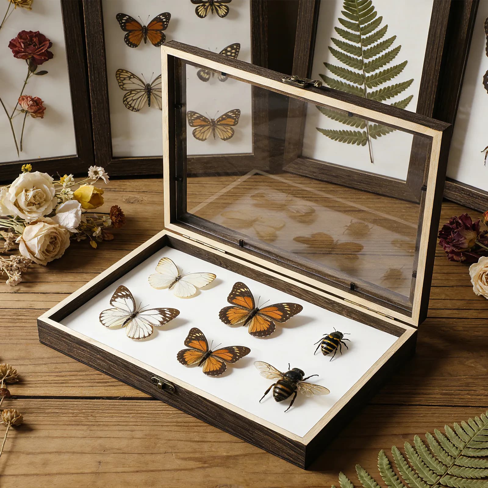 1Set Wood Specimen Storage Box 12.18x8.65x1.57in Insect Display Case Clear Top Shadow Box Butterfly Bug Collection Frame