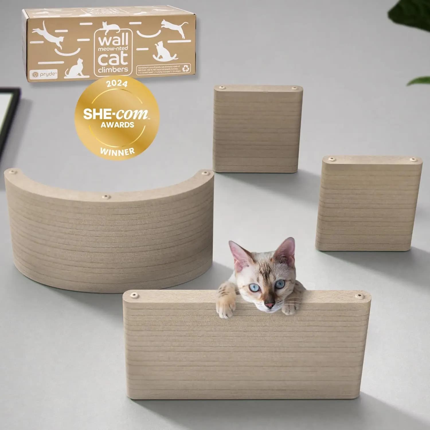 Set di 4 Mensole da Parete per Gatti - Mobili Rampicanti in Feltro PET Sostenibile per Gatti da Interno, Design Moderno Stile Giungla