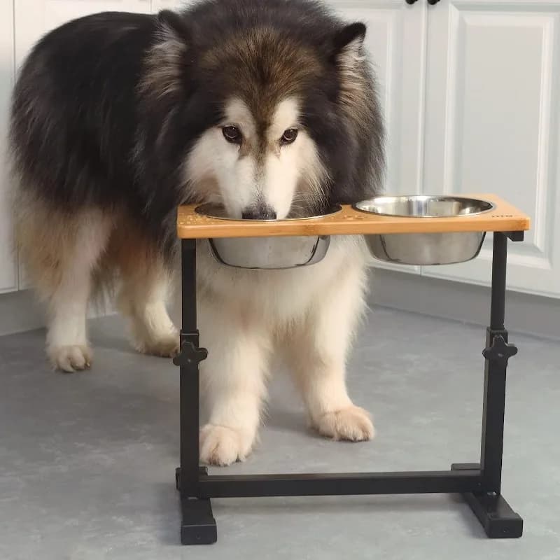 Wooden Raised Dog Bowl Adjustable Pet Feeding Stand for Home Wooden Feeder for Pet Shops Pet Supplies Pet Accessories