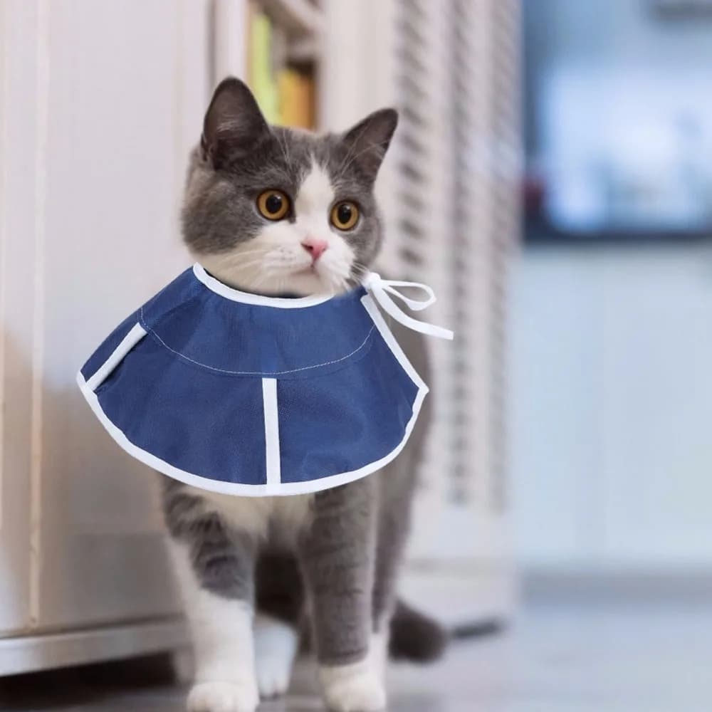 Flexible Surface Elizabethan Collar Adjustable Fit Soft Surface Anti Lick Shield Portable Build Extended Edge Pet Recovery Ring