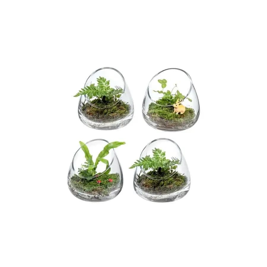 Set di 4 Terrari in Vetro Trasparente Premium da 5 Pollici per Piante Aeree, Portacandele, Vaso per Piante Succulente e Cactus