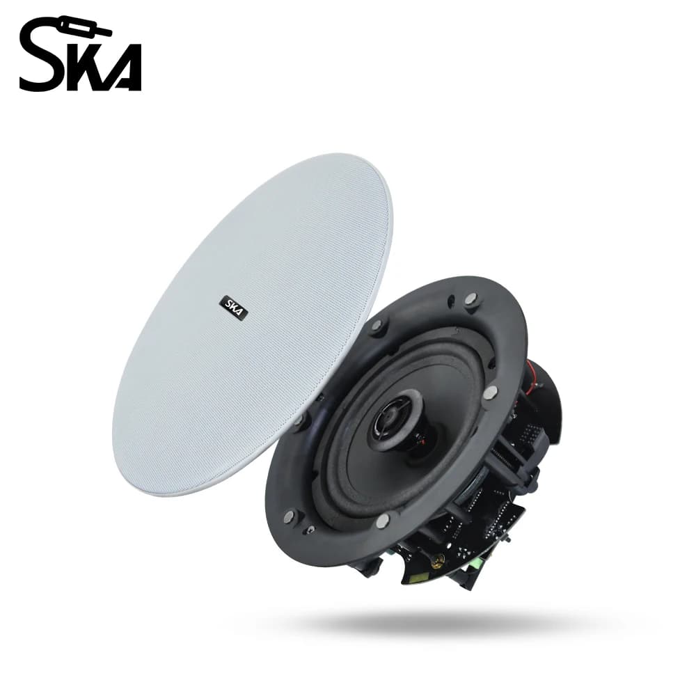 Sistema Audio Domestico con 4 Altoparlanti da Soffitto WiFi Bluetooth, Amplificatore Digitale Integrato Classe D per Interni