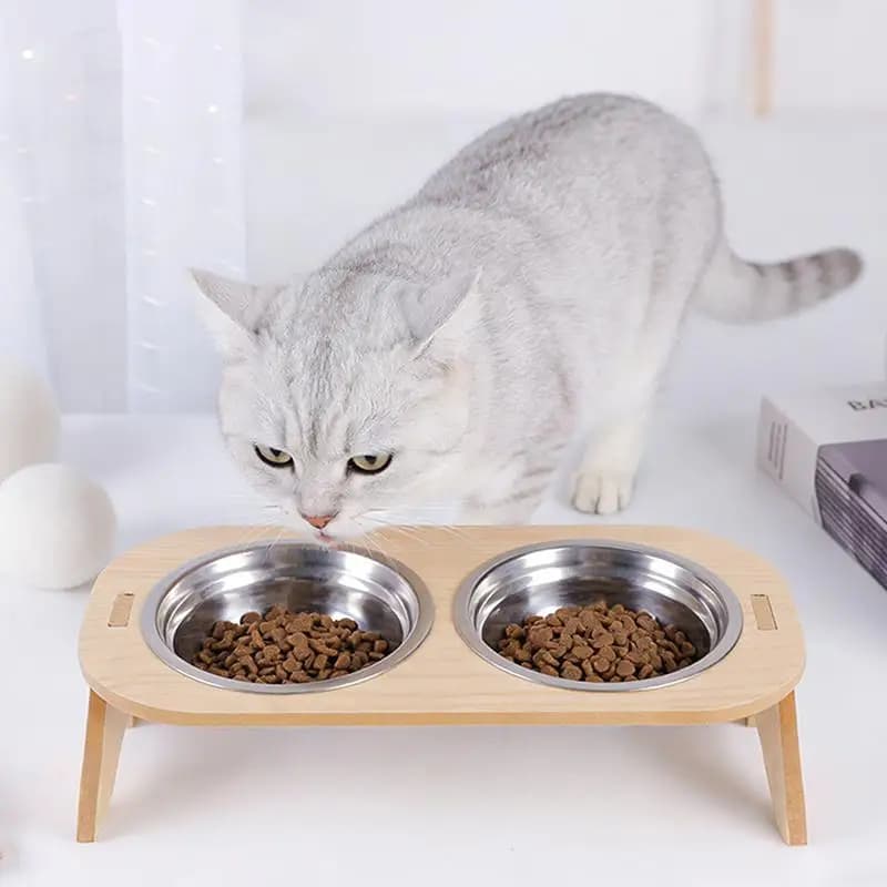 Nuove Ciotole Rialzate per Gatti - Mangiatoia per Animali Domestici 15 ° Ciotole rialzate inclinate per gatti con supporto in legno, ciotole in acciaio inossidabile per gatti e cuccioli