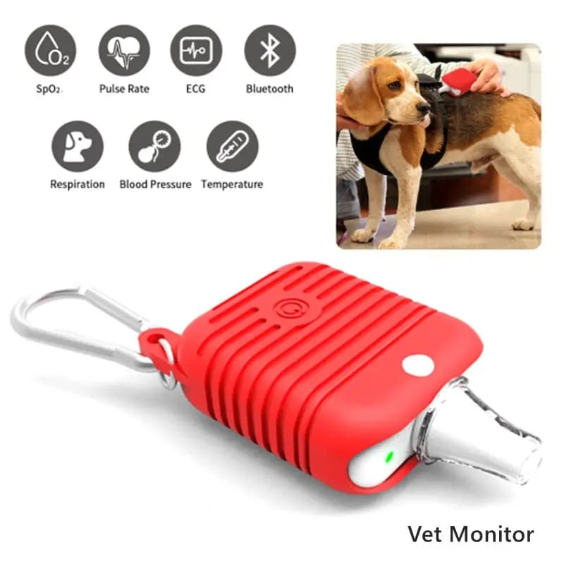 BERRY Bluetooth VET Pulsossimetro veterinario Veterinario Smart Wear SPO2 Frequenza cardiaca ECG Pet Monitor APP IOS