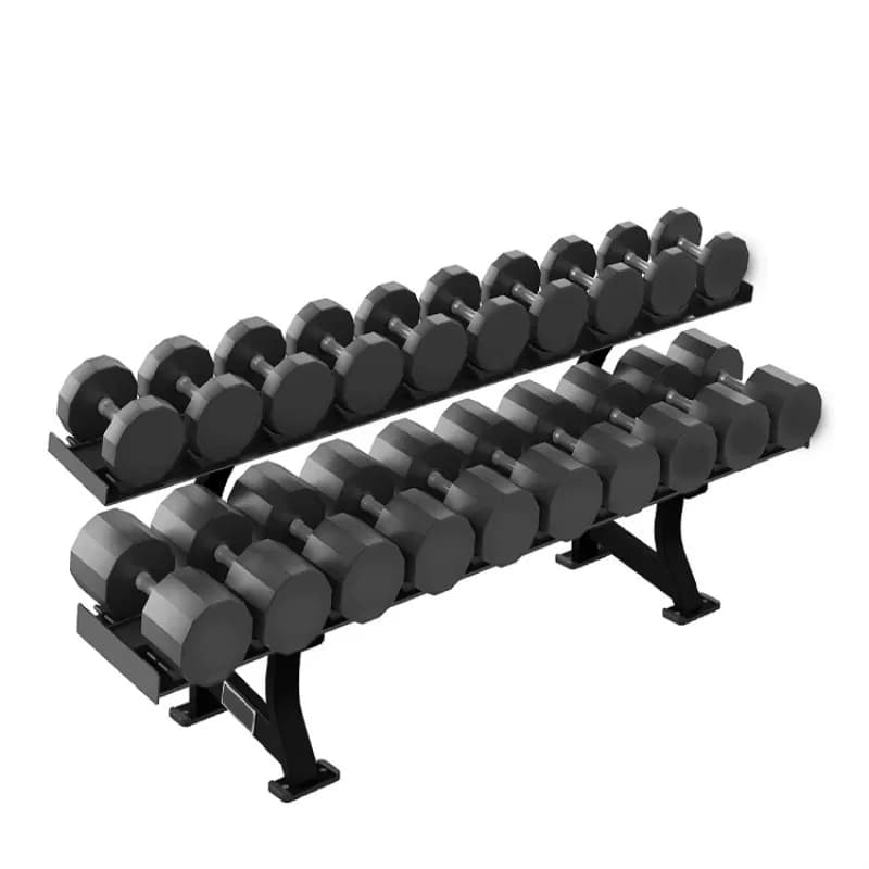 Rack Porta Manubri a 2 Livelli per 10 Paia, Attrezzatura da Palestra per Fitness, Struttura Robusta in Acciaio Resistente e Stabile