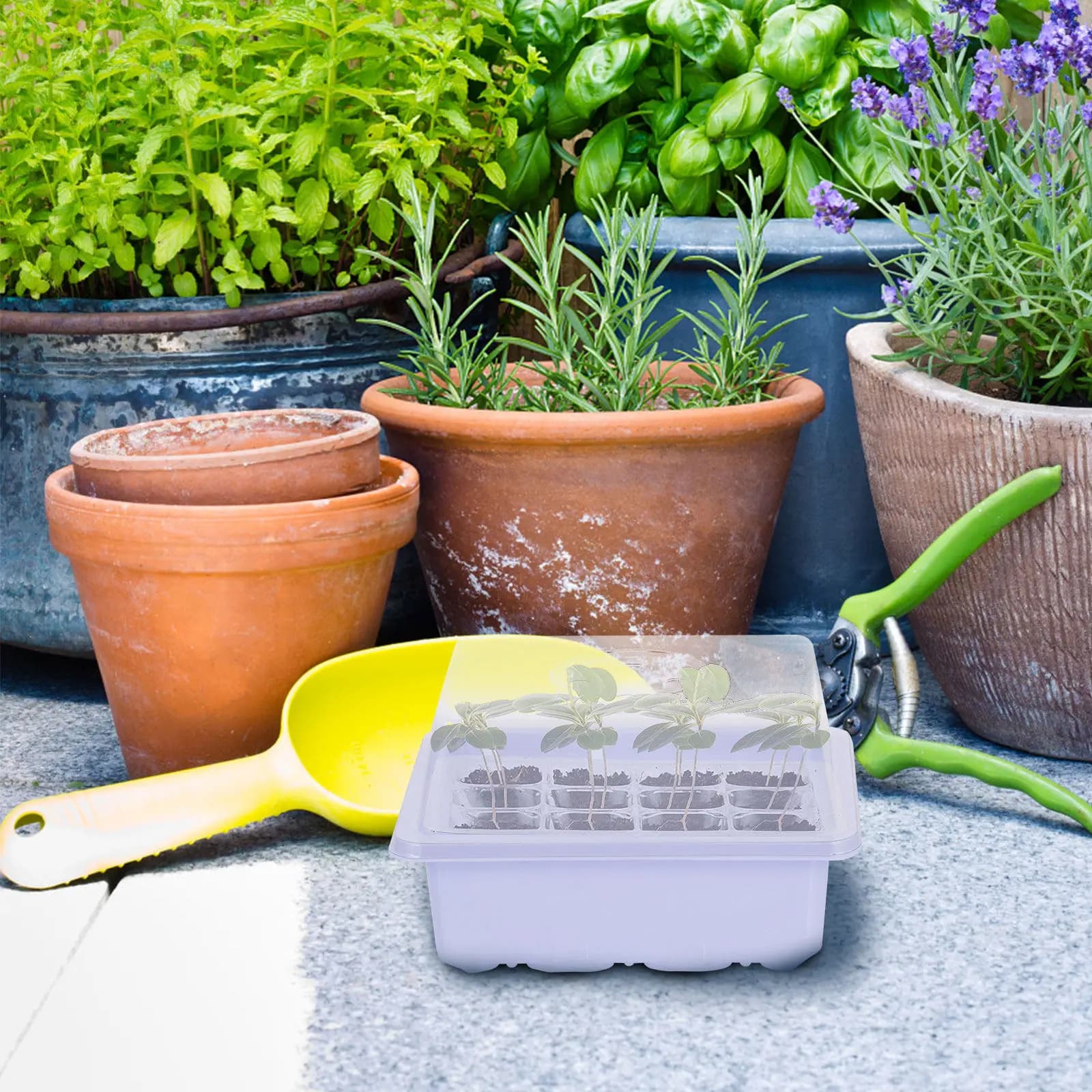 2Sets Garden Starter Sprouter Tray Germination Tray Plastic Nursery Box Seed Propagator for Vegetables Flowers High Budding Rate