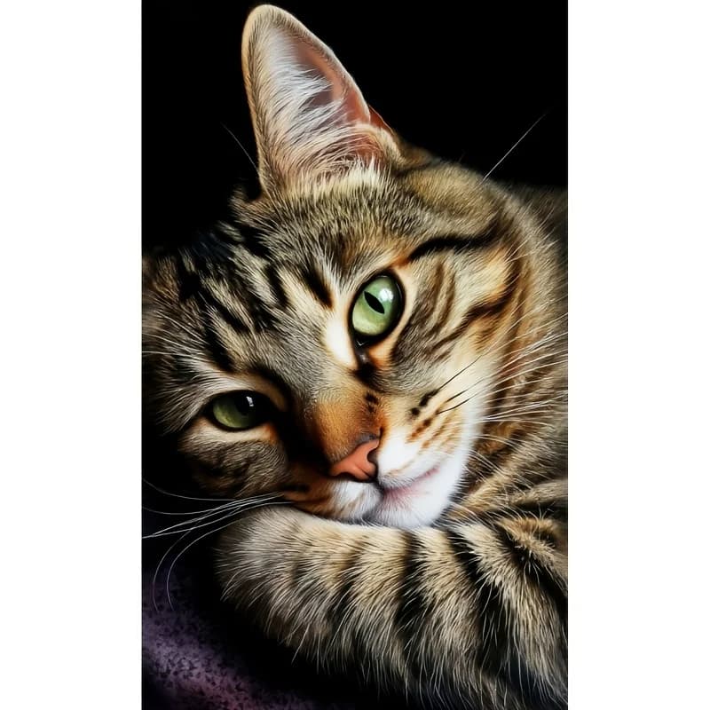 5D DIY Diamond Painting | Natural Art Handmade Decorative Painting, The Healing Gaze of a Green-Eyed Tabby Cat