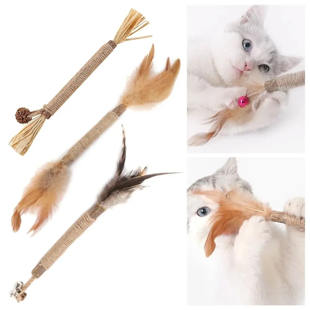 Silvervine Sticks Pet Cat Toys Natural Catnip Suit Safety Sisal molare dentifricio ramo pulizia denti snack per gatti forniture per animali domestici