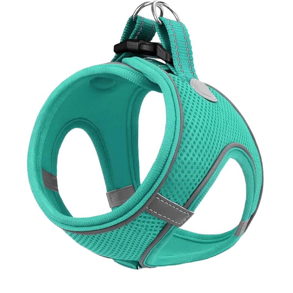 Set di guinzagli per collare per pettorina classica moderna regolabile in 3 pezzi Set di guinzagli per cani personalizzati in poliestere tinta unita per cani gatti