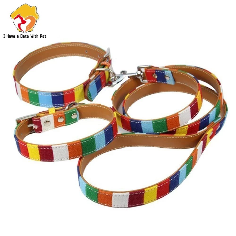 (1 collare + 1 guinzaglio) Collare per cani in pelle SML XL XXL Set di LED Set di collare per cani da compagnia in tela di design in pelle PU colorato tinta unita