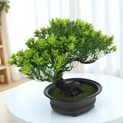 Simulation Bonsai Guest Welcoming Pine Tree Artificial Plant Home Decor Exquisite Realistic Faux Bonsai Indoor Outdoor