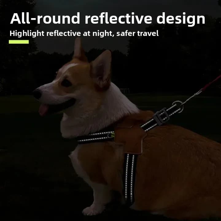 Dog Leash Walking Dog Leash Retractable Reflective Pet Chest Strap Summer Breathable Pet Chest Back Strap