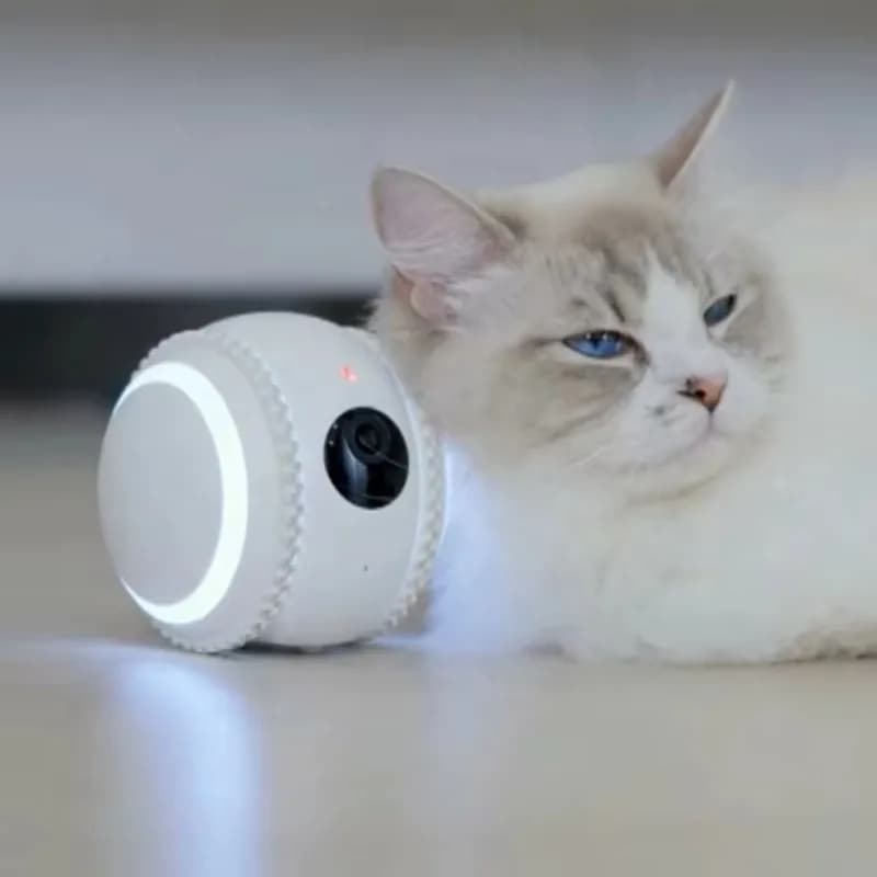 Altro robot significativo intelligente, webcam 1080P ad alta definizione, divertente giocattolo intelligente per cani e gatti