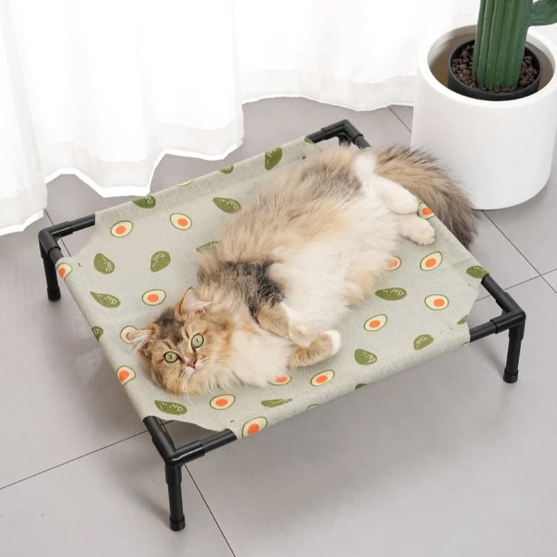 Cuccia Rialzata per Cani con Design Fuori dal Suolo, Lettino Rinfrescante in Rete, Resistente agli Strappi, Portatile per Cani, Esterni, Campeggio