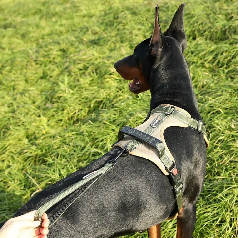 Pettorina per Cani Regolabile Tipo Gilet, Leggera e Riflettente, Traspirante e Resistente, Anti-Trazione, per Uso Esterno