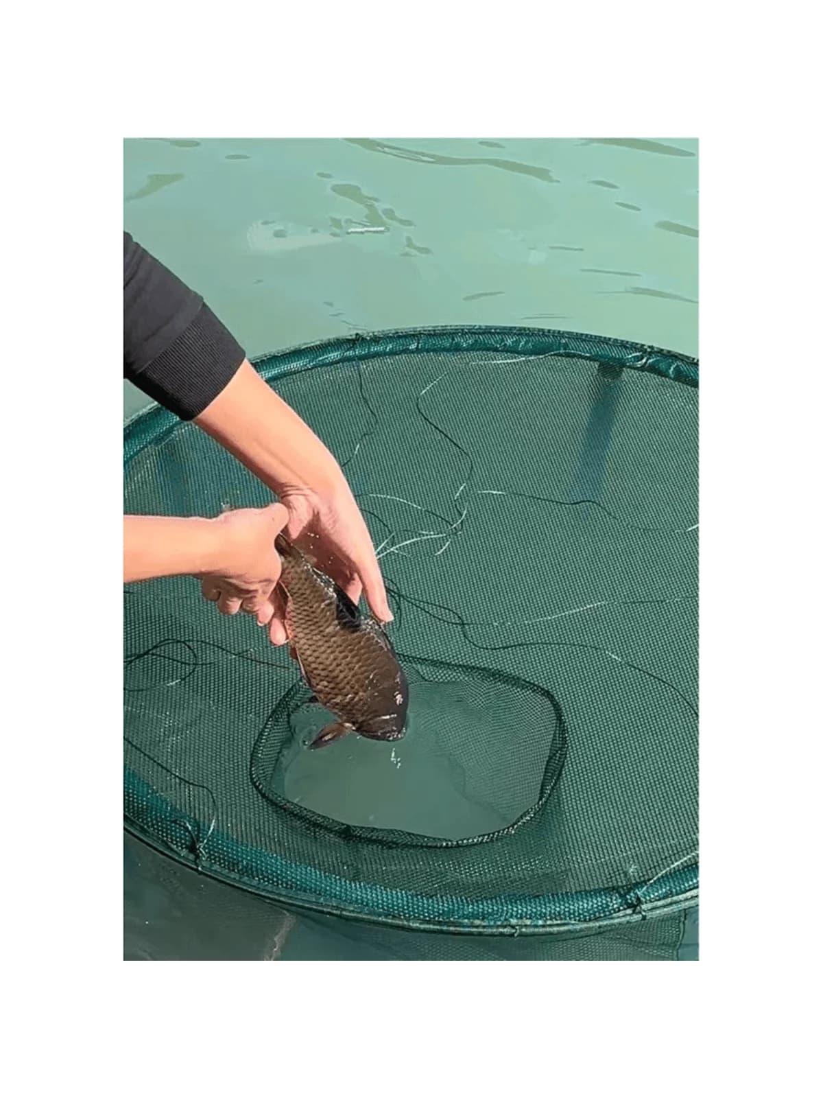 Cestino pieghevole per gamberetti per pesci Secchio da pesca portatile Borsa portaoggetti in rete ad asciugatura rapida Rete da pesca Rete anti-salto Tasca per aragosta