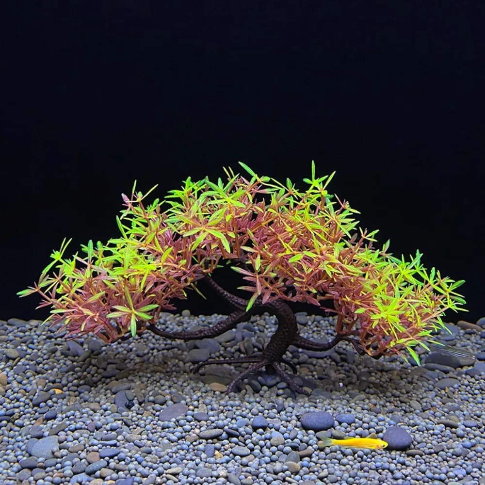Pianta Artificiale Subacquea in Plastica, Albero di Pino Simulato, Erba Acquatica per Acquario e Paesaggistica