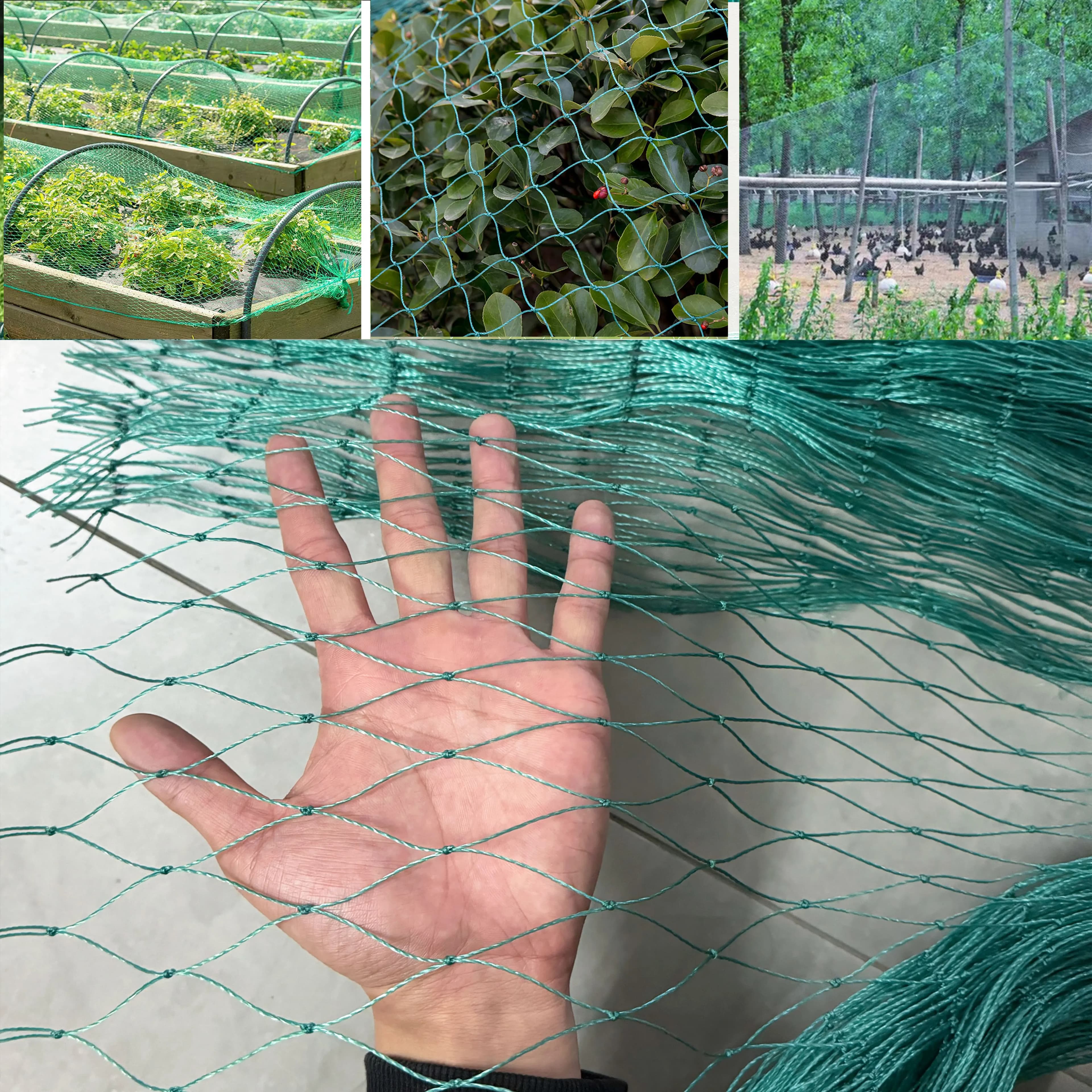 Rete in nylon per uccelli, allevamenti, stagni, reti da pesca, alberi da frutto, giardini, recinzioni per polli, reti di protezione, recinzioni per pollame, serre