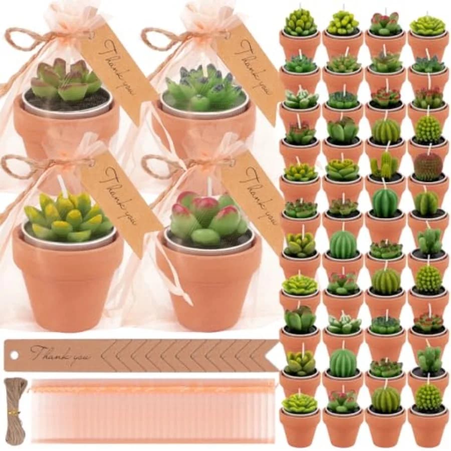 Set di 54 Candele a Forma di Cactus Succulente, Mini Candele Tealight per Baby Shower, Decorazioni con Piante di Cactus e Mini Candele in Terracotta