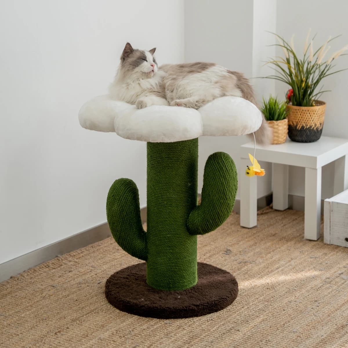 YXT Struttura da arrampicata per gatti Fiore Prugna Struttura da arrampicata per gatti Base per gatti grandi Fiore di lusso Gatti Nido e albero Artiglio in sisal integrato