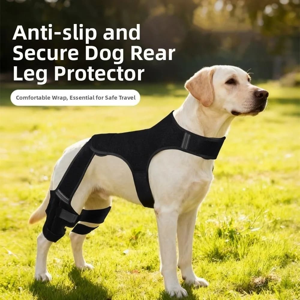 Supporto Regolabile per Zampe Posteriori di Cani, Design Riflettente, Protezione Anti-Leccamento per Gomito con Stabilizzatori, Ginocchiera Nera per Cani