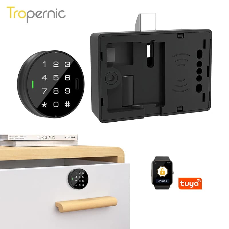Tuya Smart Fingerprint Keyless Cardnch Cam Lock Cabinet Lock Door Drawer Classificazione Cabinet Post Mail Box Mobili Armadietto