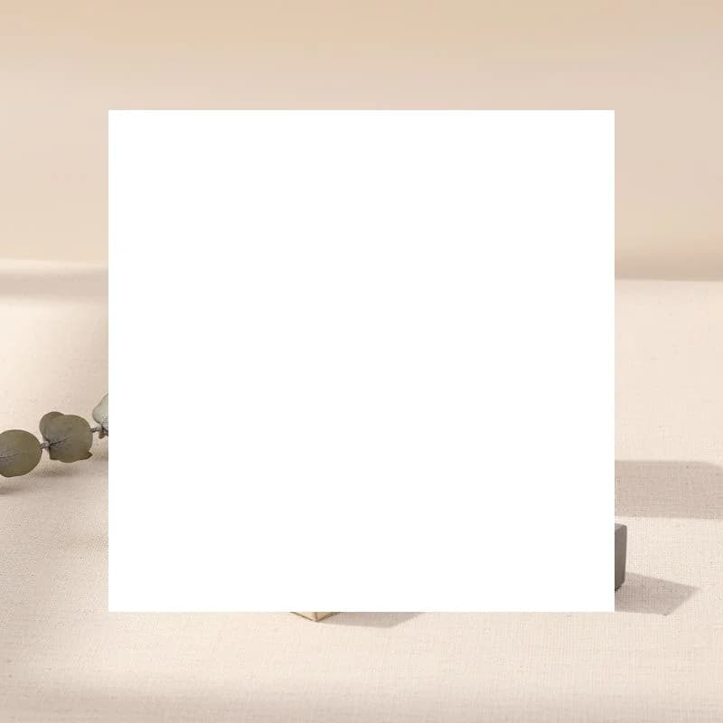 Scatola per Confezione di Oli Essenziali, 10 Pezzi da 5ml e 10ml, Elegante Scatola per Profumi per Negozi Boutique e Uso in Salone