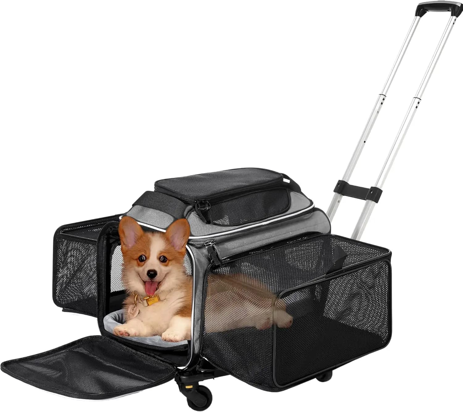 Trasportino Espandibile per Animali Domestici con Ruote - Approvato dalle Compagnie Aeree, Design Spazioso e Morbido Foderato in Grigio