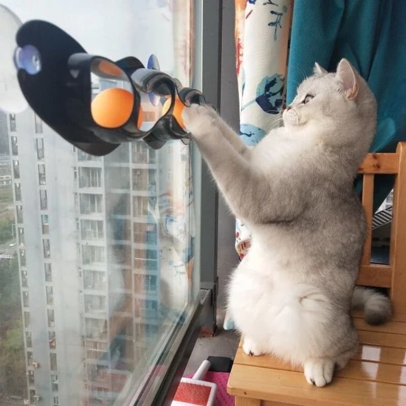 Nuovo gatto pista palla giocattolo gatto ventosa palla giocattolo accessori ping pong adsorbimento vetro giocattolo per gatti divertenti giocattoli per gatti prodotti per animali domestici
