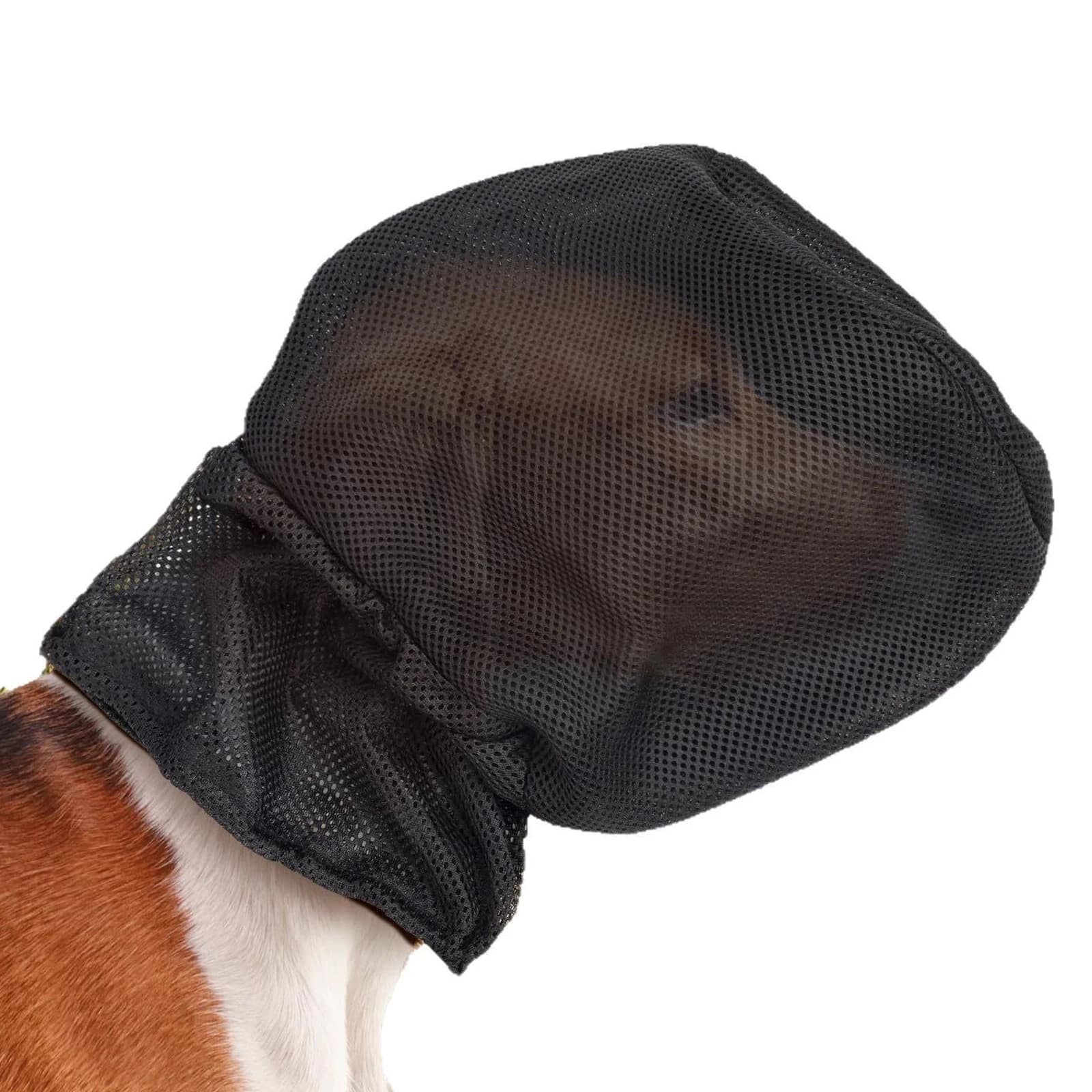 Dog Outdoor Protection Mask, Hiking, Exploring, Mountain Climbing, Scratch-Proof, Breathable Pet Face Covering