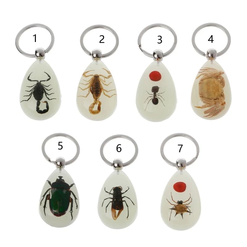 Portachiavi luminoso Scorpione nero Portachiavi regolabile in resina ambrata Ciondolo souvenir con campioni di insetti Regali