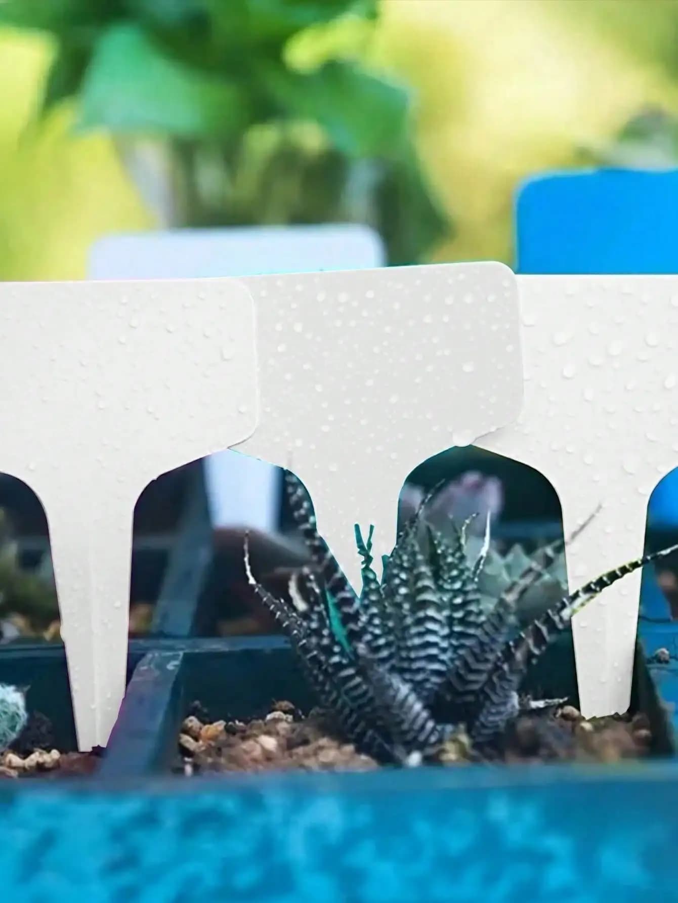 20 etichette impermeabili per piante, riutilizzabili, a forma di T, per fiori, verdure e piante in vaso