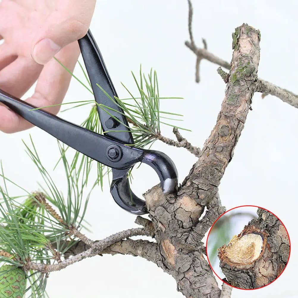 Professional High-Carbon Steel Tree Knots Cutter with Ergonomic Handle Circular Concave Edges Pruning Shears for Bonsai Garden
