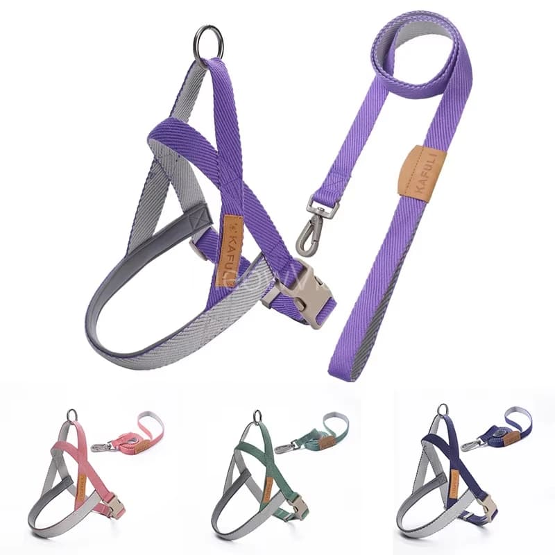 Set Guinzaglio e Pettorina Leggeri per Cani, Morbidi e Regolabili, in Nylon Anti-Soffocamento, per Bulldog Francese, Accessori Quotidiani