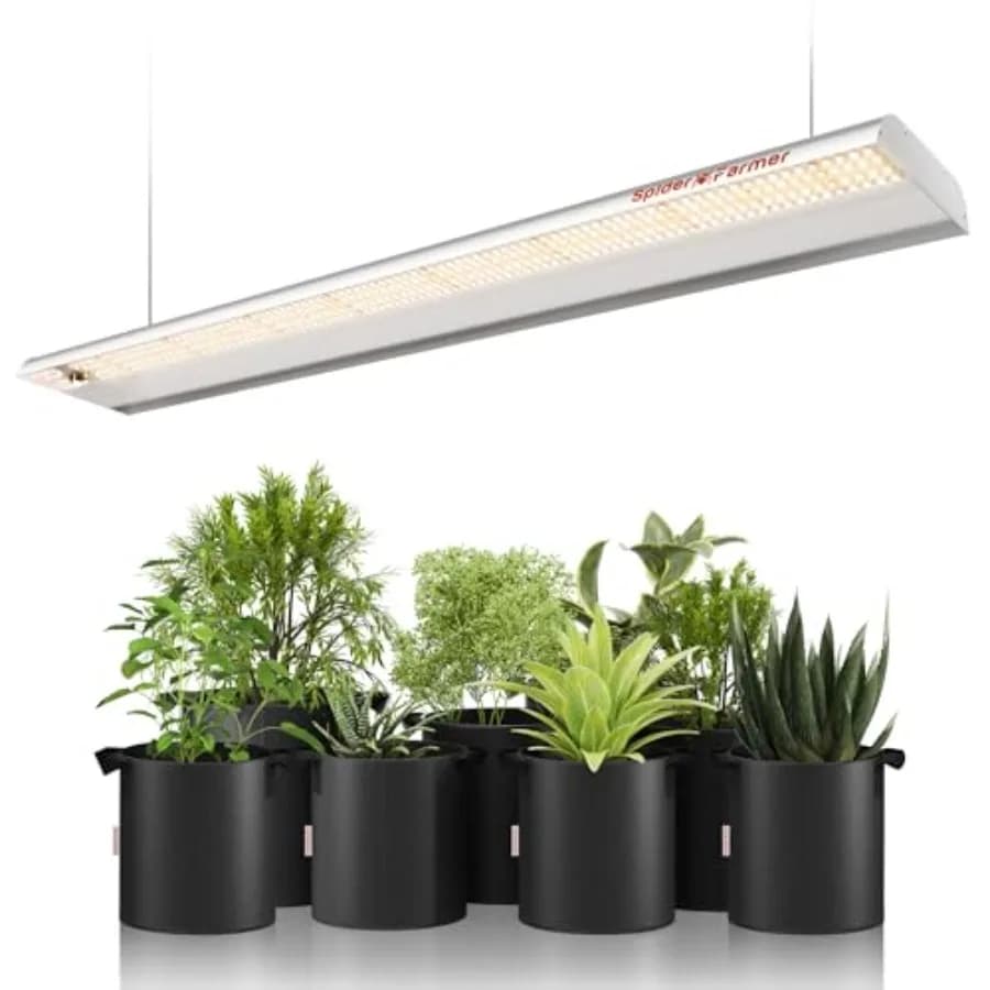 LED Cultivation Lights SF600, Cover 2x4 ft, Complete Spectre Similar to the Sun, Grow Lamp Indoor Plants, Semina, Vegetative, Flowering, Energy Savi
