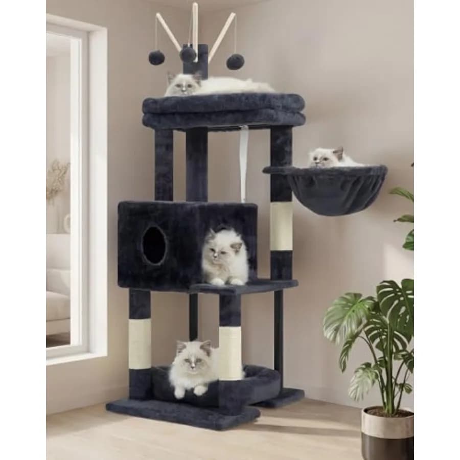 Cat Tree, anno 2026