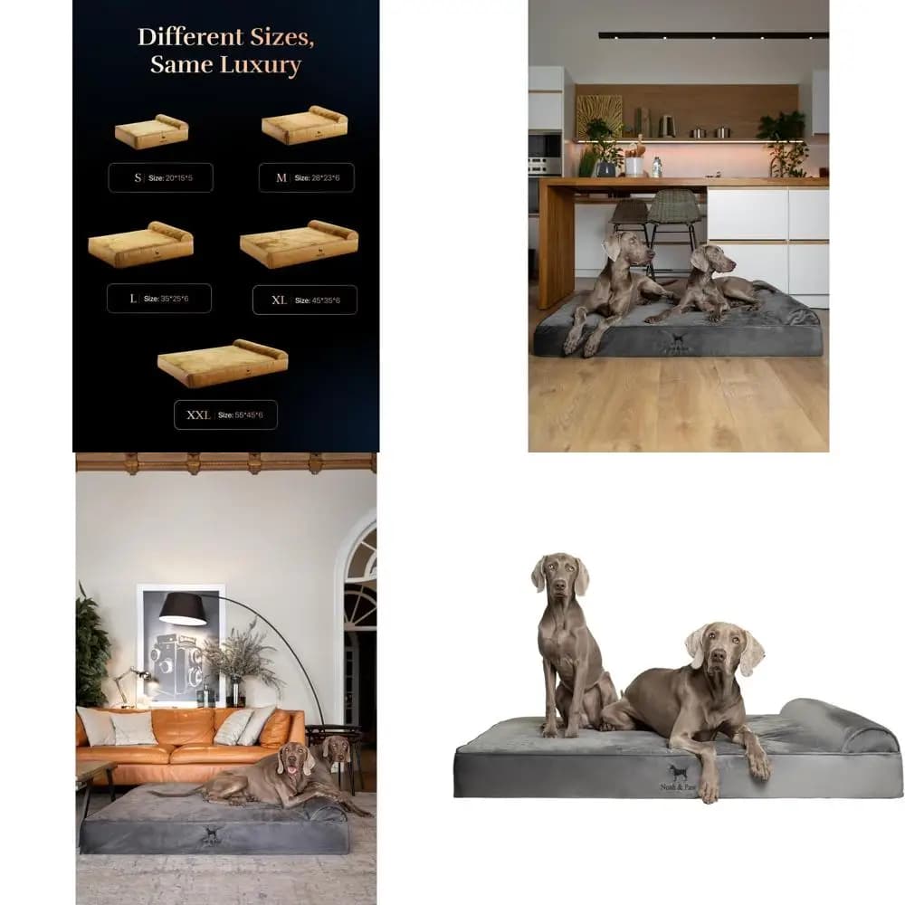 Cuccia Ortopedica XXL per Cani 55x45x9.5 - Memory Foam con Gel Rinfrescante, Impermeabile, Rivestimento Lavabile