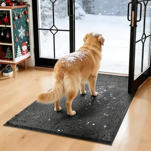 Tappetino per Cani WAYNHUI 36"x60" - Assorbente, Antiscivolo in Ciniglia, Tappeto Antimacchia per Animali Domestici, Grigio Scuro