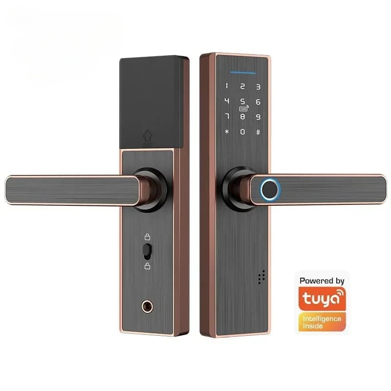 Serratura con password transfrontaliera all'ingrosso Serratura per porta interna Casa intelligente e moderna Appartamento Porta in legno Ufficio Graffiti Impronta digitale L